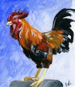 rooster1