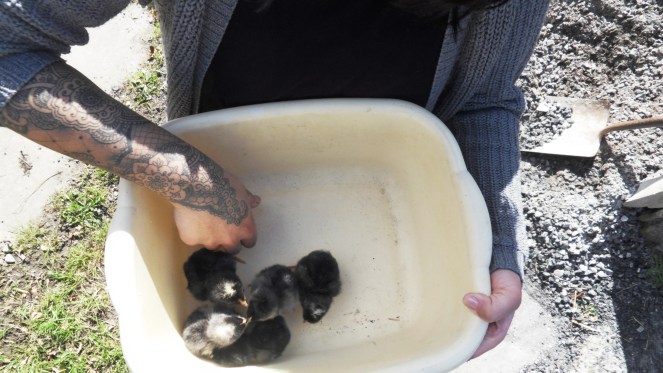 SAMSUNG DIGITAL CAMERA