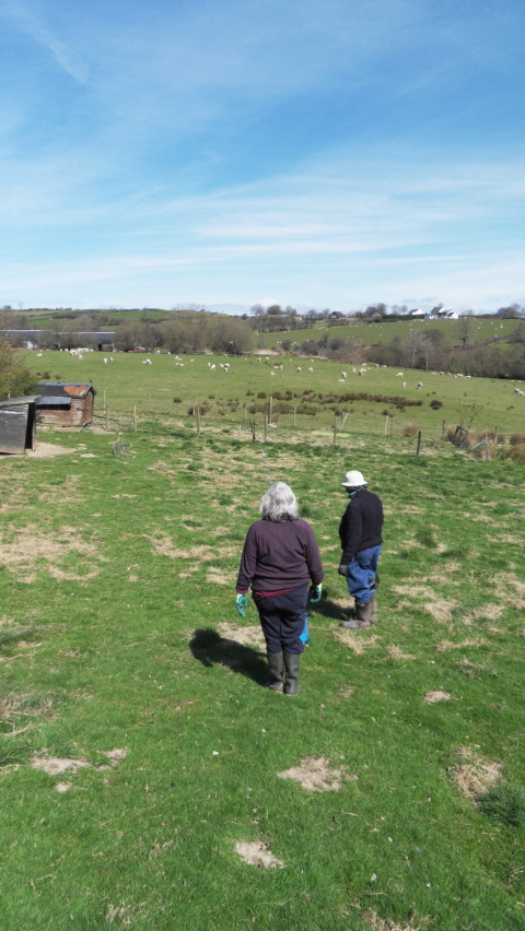 SAMSUNG DIGITAL CAMERA