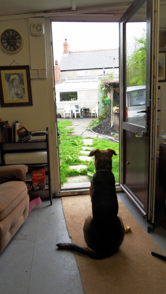 SAMSUNG DIGITAL CAMERA