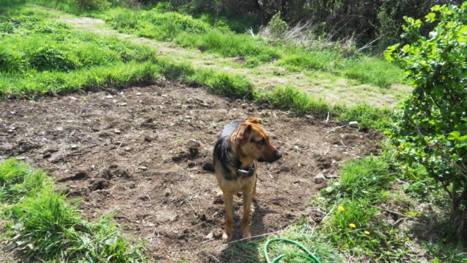 SAMSUNG DIGITAL CAMERA