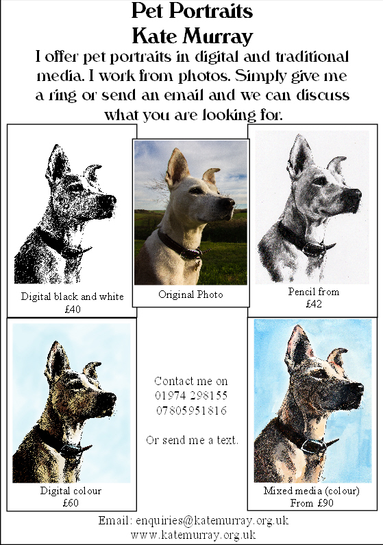 individual-a5-advert